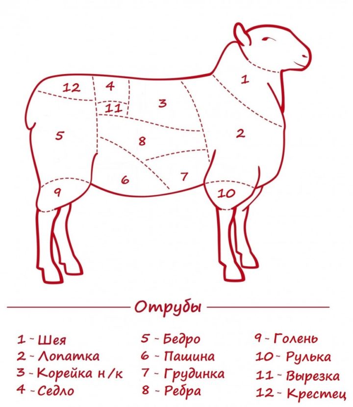 Схема разделки туши