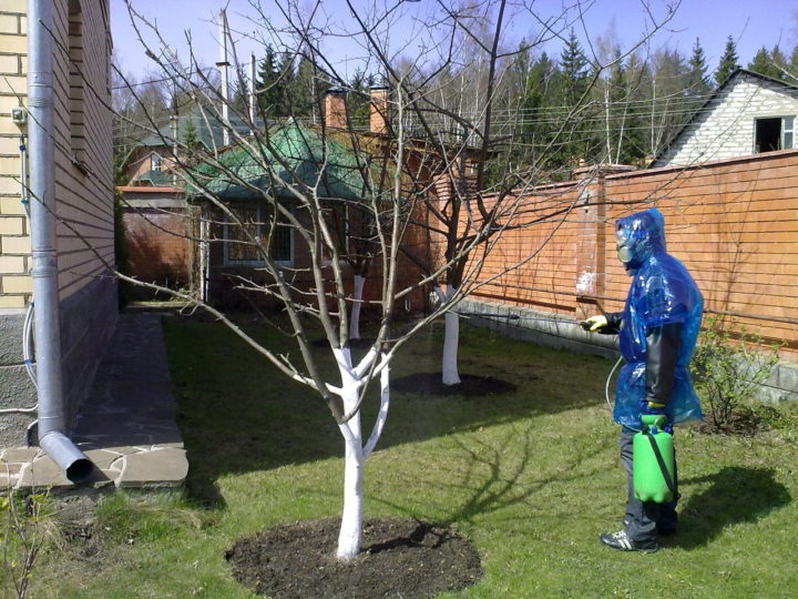 Опрыскивание